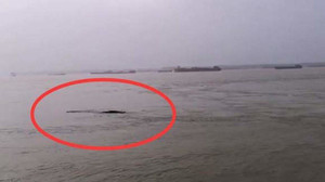 Ngã ngửa với sự thật 'quái vật hồ Loch Ness' của Trung Quốc