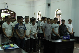 Trùm gỗ lậu Phượng 'râu' bị tuyên 8 năm 6 tháng tù