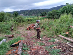 Kiểm lâm 2 huyện 'nhường' nhau, 8 tấn gỗ lậu biến mất khó hiểu