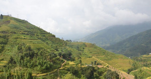 Ngắm ruộng bậc thang Hoàng Su Phì ngả vàng thơ mộng từ những cánh dù lượn