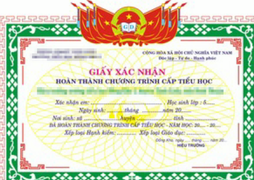 Làm hồ sơ khống cho học sinh bỏ học được lên lớp, hiệu trưởng ở An Giang bị kỷ luật