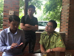 Kẻ nào mạo danh hạt trưởng kiểm lâm đòi gỡ bài viết '8 tấn gỗ lậu mất tích bí ẩn'?