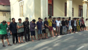 Khởi tố nhóm 'cẩu tặc' trộm hơn 100 tấn chó ở Thanh Hóa