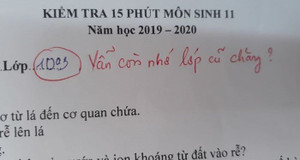 Lời phê hóm hỉnh của giáo viên trong bài kiểm tra lớp 11 khiến dân mạng thích thú
