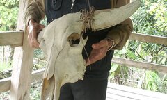 Bí ẩn ngôi ‘đền sọ trâu’ trong khu rừng không ai dám vào ở Tây Côn Lĩnh