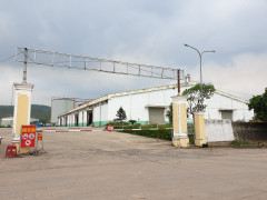 Nhà máy cồn bốc mùi thối ở Quảng Nam cam kết dừng sản xuất trong 15 ngày