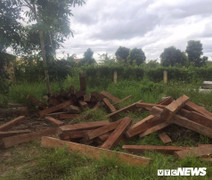 8 tấn gỗ lậu mất tích bí ẩn: Lãnh đạo Chi cục Kiểm lâm tỉnh Gia Lai nói gì?