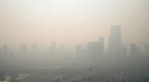 Dùng than tổ ong, đốt rơm rạ gây hại môi trường thế nào?