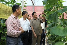 Thủ tướng Lào tham quan mô hình trồng rau công nghệ cao tại Đà Nẵng