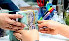 TP.HCM: Nhiều doanh nghiệp nợ thuế hàng trăm tỷ đồng