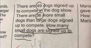 Bài tập về nhà của học sinh lớp 2 với đáp án kỳ quặc gây tranh cãi