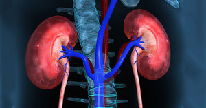 10 dấu hiệu cho thấy thận của bạn đang quá tải hoặc ngừng hoạt động