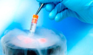 Chồng 'trộm' phôi thai đông lạnh của vợ đem cho người phụ nữ khác