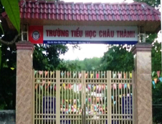 Hiệu trưởng 'ăn chặn' sữa học đường của học sinh tiểu học bị giáng chức