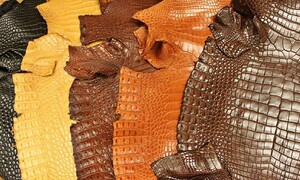 Vì sao phụ kiện bằng da cá sấu luôn đắt đỏ?