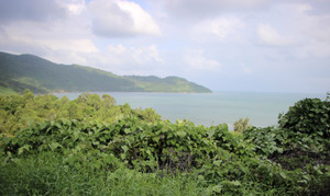 Công bố kết luận thanh tra bán đảo Sơn Trà: Đà Nẵng dính hàng loạt sai phạm