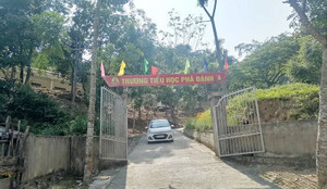 Phó hiệu trưởng trường tiểu học viết đơn xin nghỉ làm đi cai nghiện ma túy