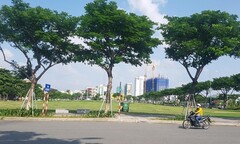 Chính quyền Đà Nẵng thua kiện doanh nghiệp, ông Huỳnh Đức Thơ gửi đơn kháng cáo