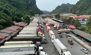 Container thanh long tắc hàng dài ở cửa khẩu Tân Thanh