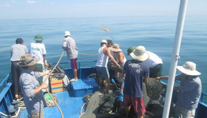 Khai thác du lịch quá mức, tận diệt hải sản đe dọa khu bảo tồn biển Việt Nam