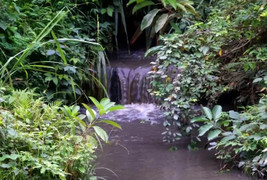 Kẻ chủ mưu đổ dầu thải và con gái chủ tịch gốm sứ Thanh Hà nói gì?