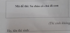 Mã đề thi bắt trend 'Sa chào cô chú đi con' khiến học sinh thích thú