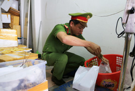 Đà Nẵng phát hiện tôm hùm bị gian thương bơm tạp chất