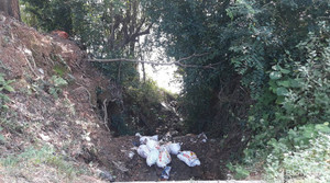 7 bao tải lợn chết bị vứt ở mương nước chảy xuống sông Lam