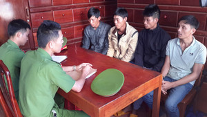 Tạm giữ 5 nghi can đầu độc rừng thông ở Đắk Nông