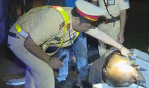 Chặn xe khách chở gần 70 động vật hoang dã không nguồn gốc