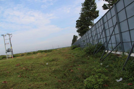 Kiến nghị sớm ban hành kết luận thanh tra vụ góp vốn 43ha đất ở Bình Dương