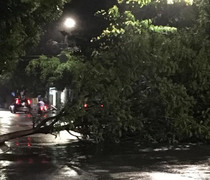 Video: Bão số 5 hoành hành ở Bình Định