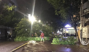 Dân Bình Định thức trắng đêm, gồng mình đối phó bão số 5