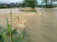 Ảnh: Bình Định tan hoang sau cơn bão số 5