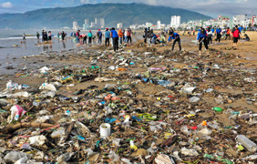 Video: Hơn 500 người dọn rác biển Quy Nhơn sau bão số 5