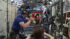 Video: Phi hành gia chơi bóng chày trên Trạm Vũ trụ Quốc tế