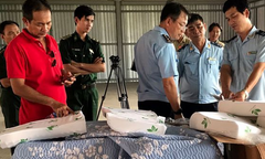 Chặn hàng gian lận đội lốt hàng Việt Nam: Xử lý minh bạch, quyết liệt để răn đe doanh nghiệp