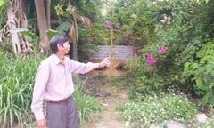 Dân Đà Nẵng kiện chủ tịch quận vì đền bù đất 'vàng' giá bằng cân cá nục mỗi m2