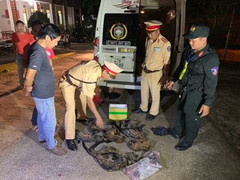 Bắt quả tang xe khách chở hàng loạt chồn hương, nhung nai