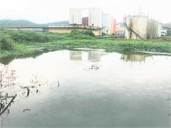 Khắc phục xong sự cố, nhà máy cồn bốc mùi thối được quan trắc lần nữa