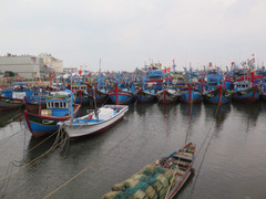 Gần 4.000 ngư dân Quảng Ngãi còn ở ngoài biển khi bão số 6 áp sát đất liền