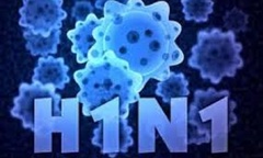 Người phụ nữ thiệt mạng do cúm A/H1N1 ở Kon Tum