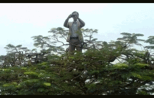 Những sáng tạo 'bá đạo' của thầy cô khiến học sinh cười ra nước mắt