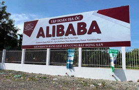 'Phát hiện cán bộ bao che vụ Alibaba phải xử lý nghiêm'