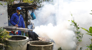 Gần 6.700 ca mắc sốt xuất huyết ở Đà Nẵng