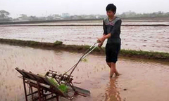 Video: Máy cấy lúa chạy bằng điện thay thế 12 nhân công