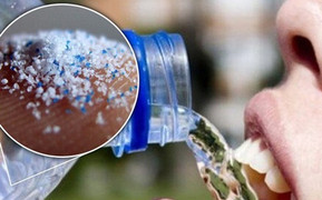 Ăn phải nhựa nguy hiểm thế nào?