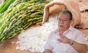 Gạo Việt ngon nhưng giá 'bèo': Do sử dụng nhiều hóa chất và không truy xuất nguồn gốc?