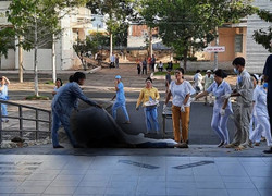 Bệnh nhân rơi từ tầng 4 xuống đất thiệt mạng