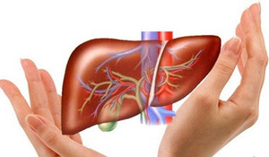 Những thực phẩm giúp giải độc gan bạn cần biết